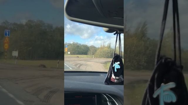 Мини светофорчик | очень удобненькая штучечка на дороге во время ремонта