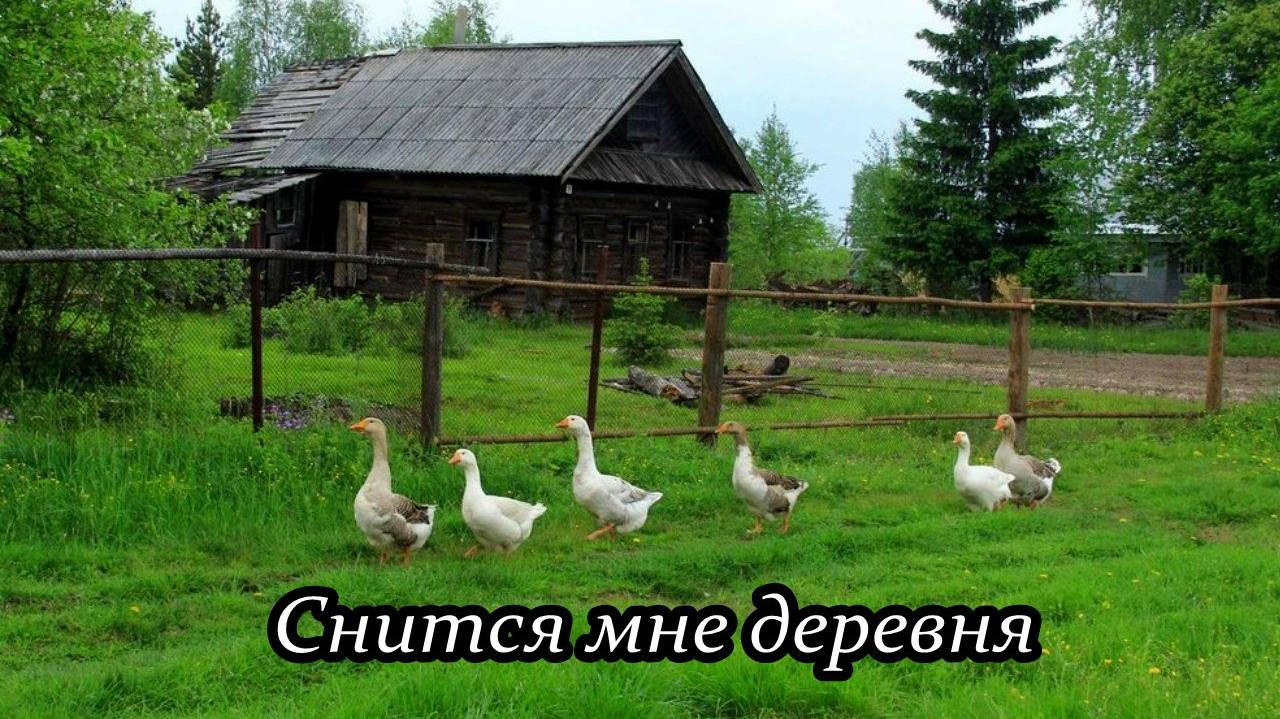 Снится мне деревня смотреть онлайн