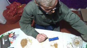 Дегустация табака Золотая Индия и Спектр