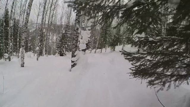 Губаха 02.2024