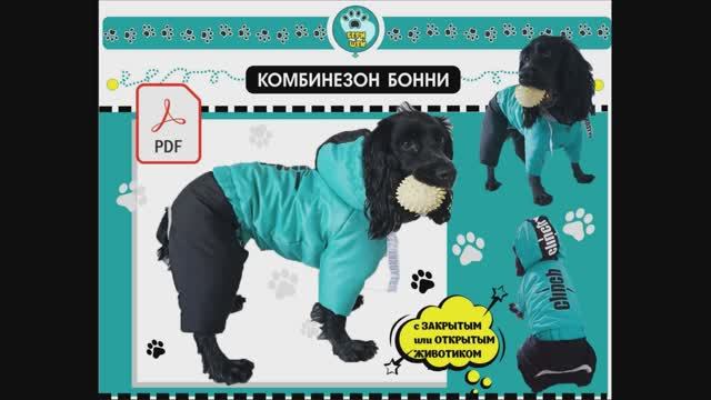 Шьем Комбинезон для собаки смотреть онлайн