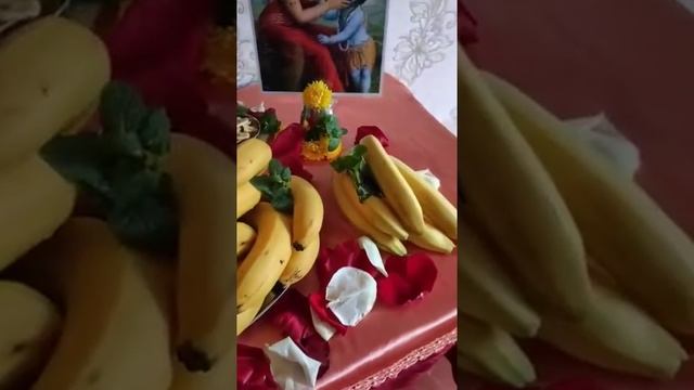 Нама хатта 21.11.2020 Белгород Днестровский Украина смотреть онлайн