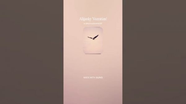 Alijasky Vozratim!_marsh