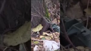 Хлопчику не повезло #сво