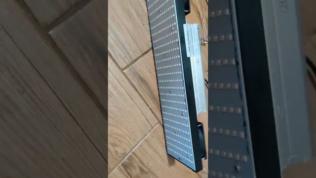 YXO LED DISPUTE , LEDS NOT WORKING. ONLY FAN IS WORKING. смотреть онлайн