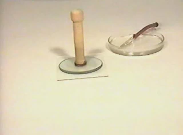 Физика. Опыты. Молекулярная физика. Модель идеального газа. Капиллярные силы смотреть онлайн