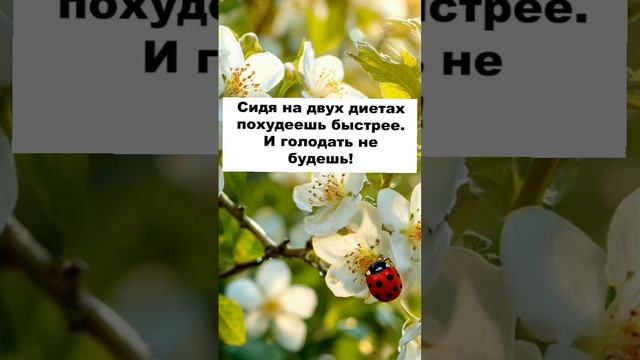 ##анекдот #анекдоты #прикол #приколы