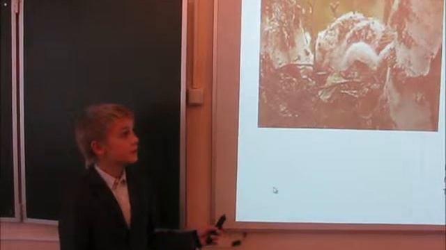 Канюк обыкновенный смотреть онлайн