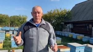 Из летнего!!! Качество меда!!! Диастаза!!!