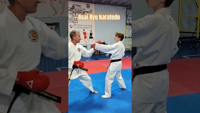 Техника блоков в кумитэ. Asai Ryu karatedo. #asairyu #каратэ #karate смотреть онлайн