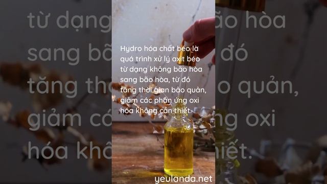 Quá Trình Hydro Hóa Chất Béo