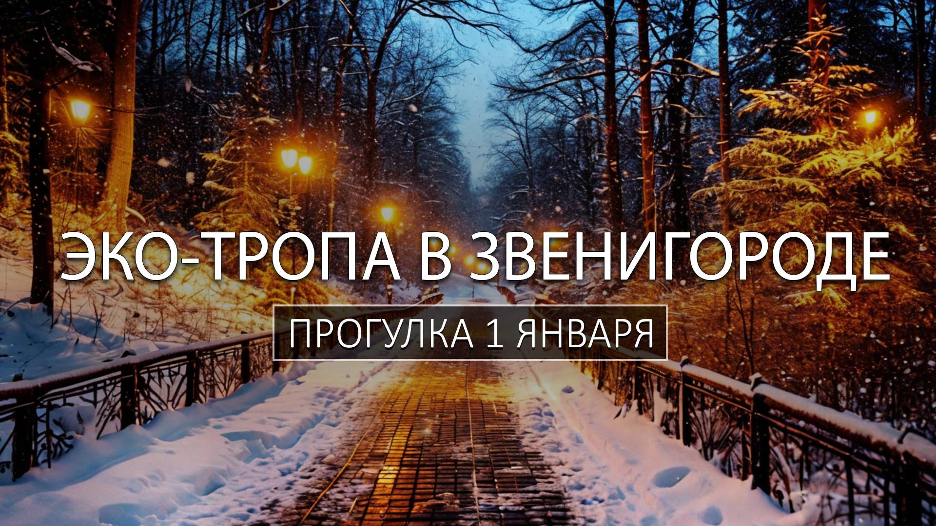 Прогулка по эко-тропе в Звенигороде 1-го января - Walking Winter Zvenigorod Eco Trail 1 January 4K