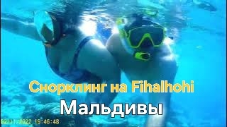 Мальдивы в ноябре. 44 серия. Снорклинг на Fihalhohi смотреть онлайн