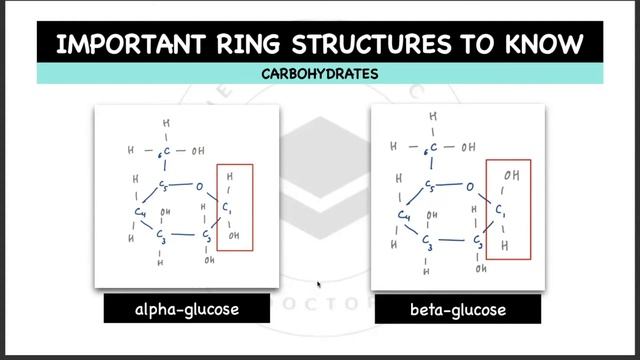 Oligosaccharides / Polysaccharides (Carbohydrates) (Pre-U Biology - STPM / Matriculation /A-Levels) смотреть онлайн