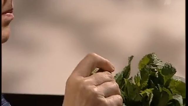 Полезные советы. Вкусотерапия. Лечение сладким. смотреть онлайн