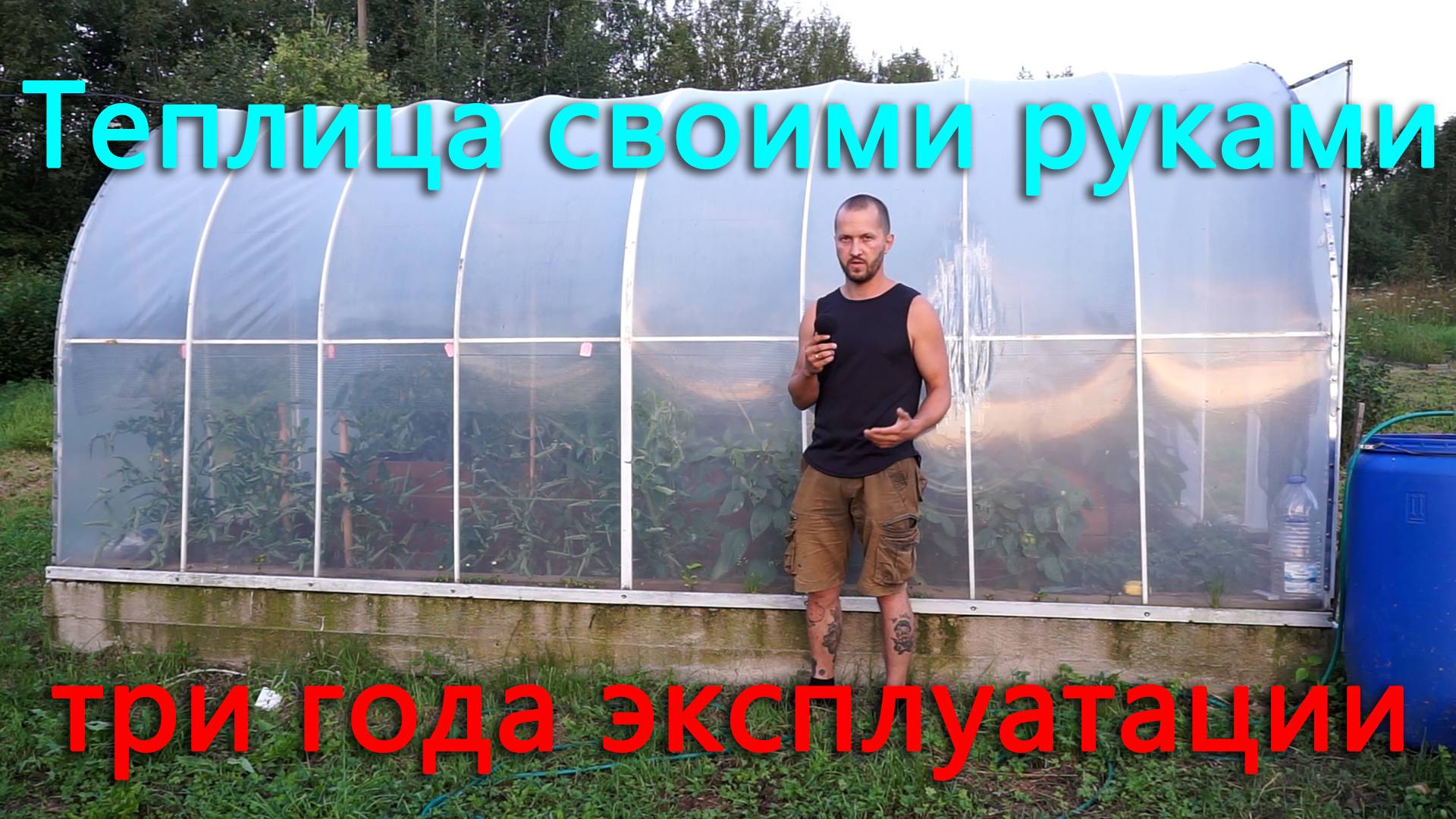 Сделал своими руками утепленную теплицу. Как она себя чувствует после трех лет_ Делаем клетки. смотреть онлайн