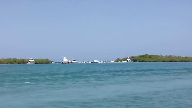 Cayo Sambrero, Falcon, Venezuela смотреть онлайн