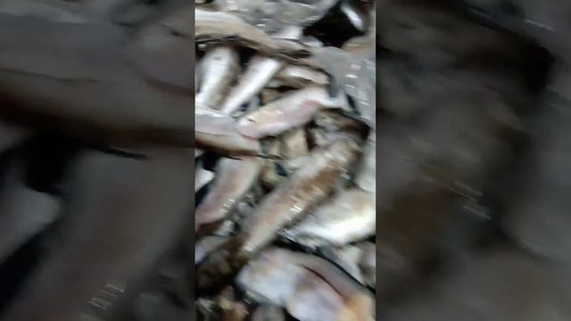 прикупил минтай из светофора смотреть онлайн