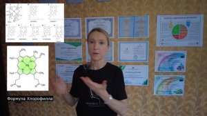 ПИТЬ ХЛОРОФИЛЛ НУЖНО ИЛИ НЕТ? Как набрать хлорофилл из пищи? Как правильно принимать хлорофилл?