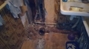 В квартире прорвало трубу канализации за чей счет ее менять ?