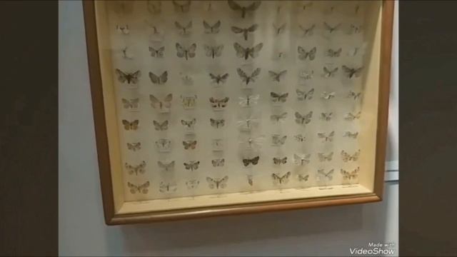 ✨Историко-краеведческий музей✨ смотреть онлайн