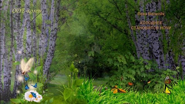 Лена Василёк - Холоднее становятся ночи смотреть онлайн