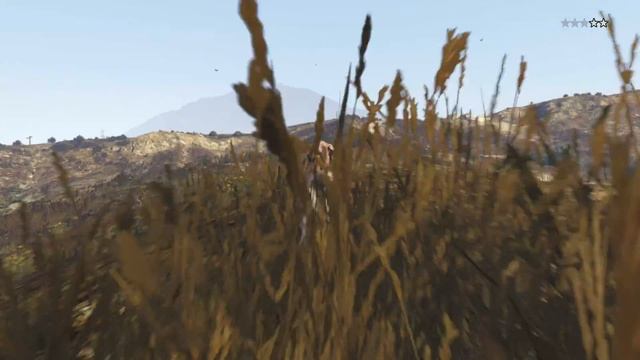 Grand Theft Auto V история трёх собак смотреть онлайн