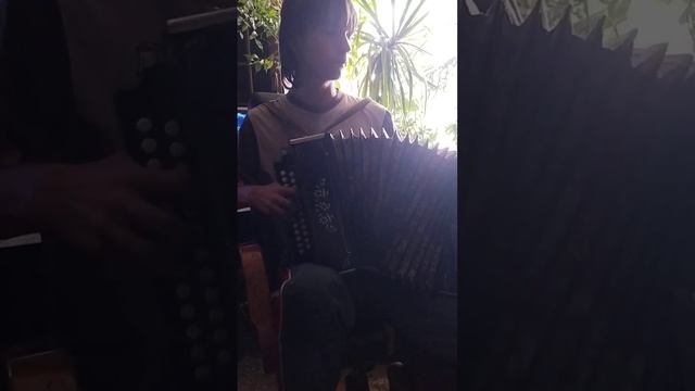 Импровизация в трёх тональностях на гармошке. Название: "Котька встречает батю с вахты"))) смотреть онлайн