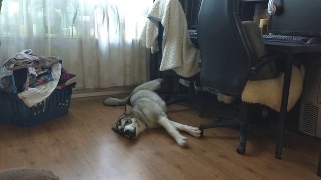Только нежность, только ласковые слова.. Потом встану, подойду ❤❤ смотреть онлайн