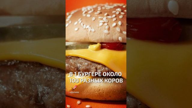 Сколько разных коров содержится в одном бургере - интересные факты о фаст фуде смотреть онлайн