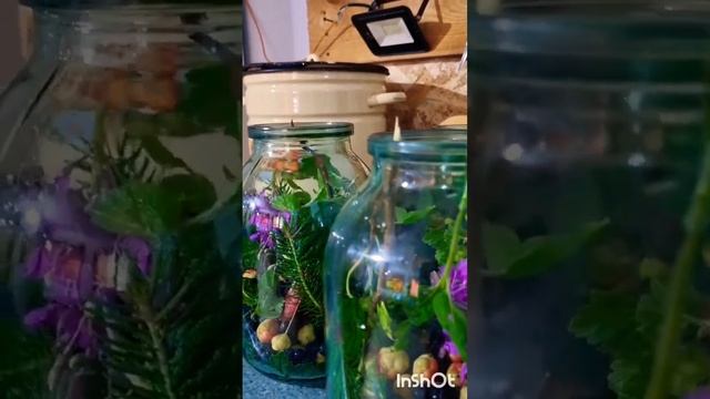 Совместные рецепты