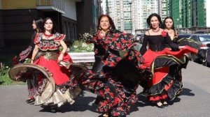 Цыганский танец, цыганские песни. "Хоп хоп хоп" певец Сергей Тарасов. Ансамбль цыганского танца.