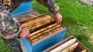 ФОРМИРОВАНИЕ ОТВОДКА!!!