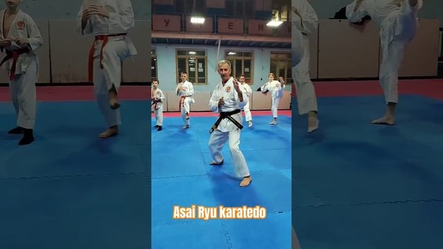 Техника Мае Гери с перемещением вперёд. Asai Ryu karatedo. #asairyu #каратэ #karate смотреть онлайн