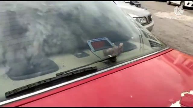 Mitsubishi Sapporo 1982