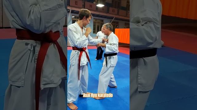 Тактика реального кумитэ. Положение рук. Asai Ryu karatedo. #asairyu #каратэ #karate смотреть онлайн