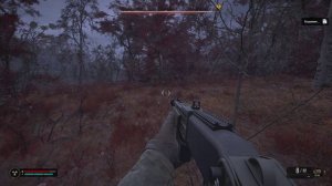 Рыжий лес. Последняя охота Сивого