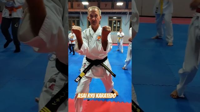 Кихон. Asai Ryu karatedo. #asairyu #каратэ #karate смотреть онлайн