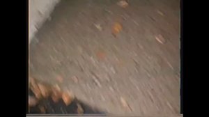 Каталог Скримбло I