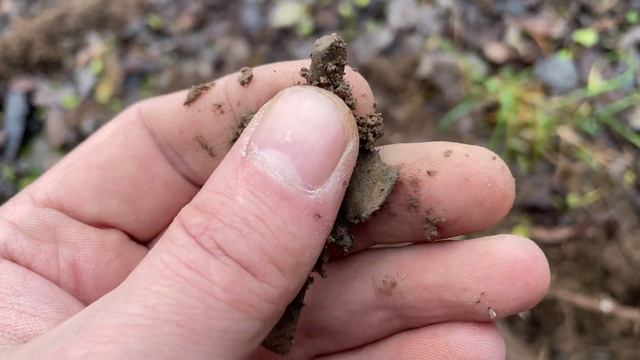 Последние дни осени! смотреть онлайн