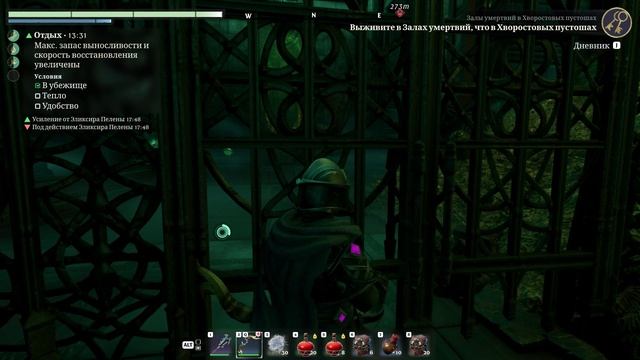 Прохождение Enshrouded. Залы умертвий в Хворостовых пустошах смотреть онлайн