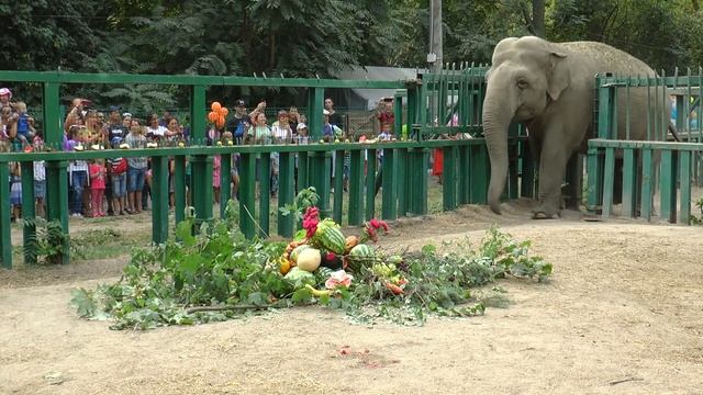 Праздничное угощения для Венди смотреть онлайн