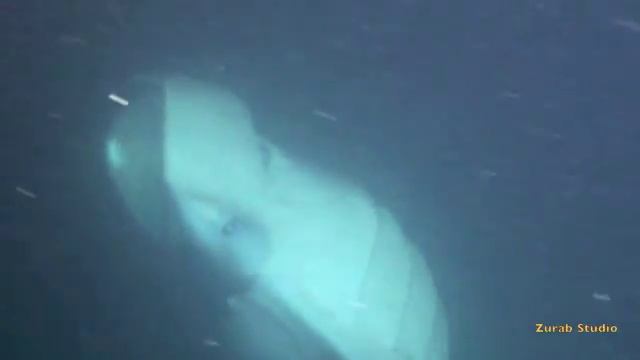 Манты смотреть онлайн