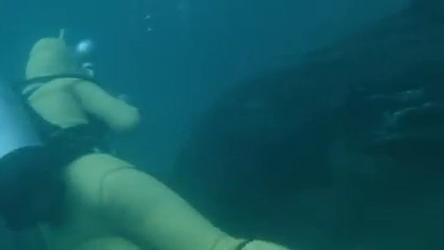 Legenda o Dinozavre 1977 Легенда о динозавре 1977приключенияужасыдрама ПОЛНЫЙ ФИЛЬМ