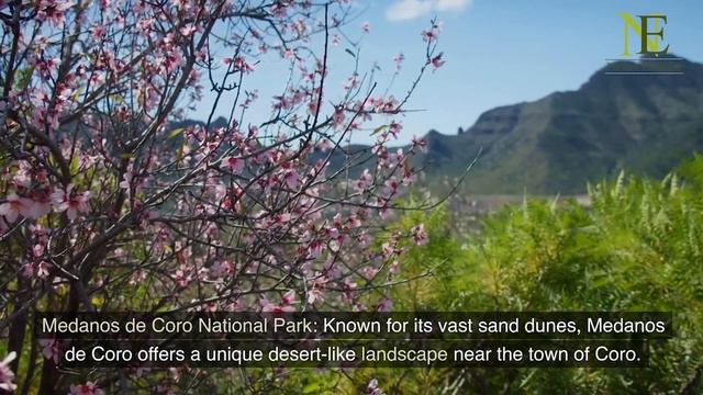 Experience the Beauty: Exploring Venezuela's Top 20 Nature Destinations | World Nature Explorer смотреть онлайн