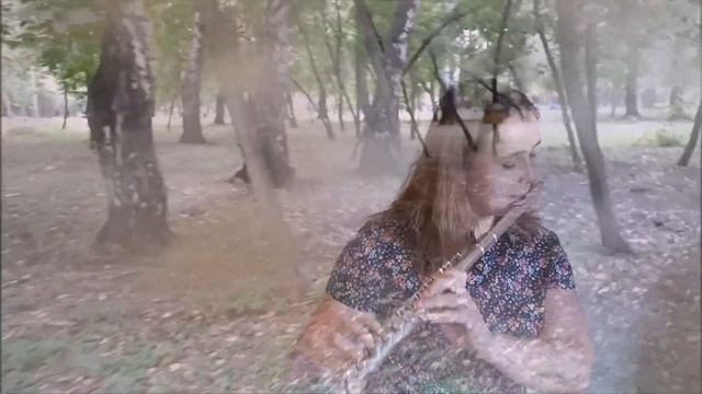 Secret Garden Adagio - Flute Covers смотреть онлайн