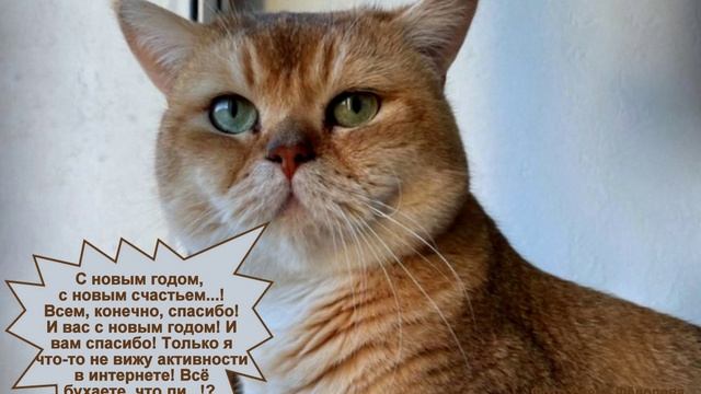 НЕ ВИЖУ АКТИВНОСТИ В ГРУППЕ. ИЛИ ВЫ ЕЩЁ...!? смотреть онлайн