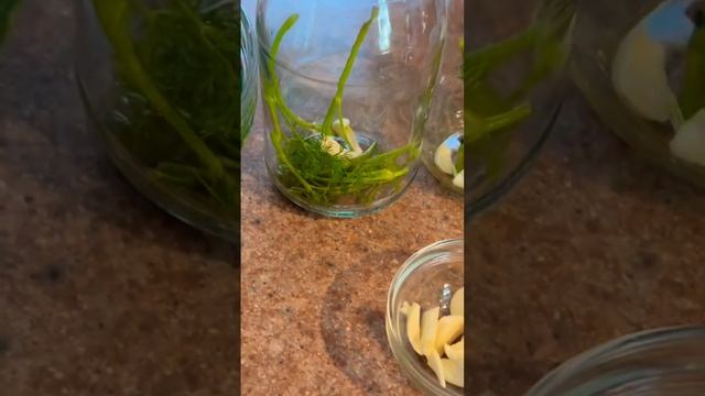 Малосольные Огурчики в Апреле смотреть онлайн