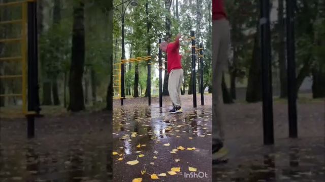 Кот не врёт!!!