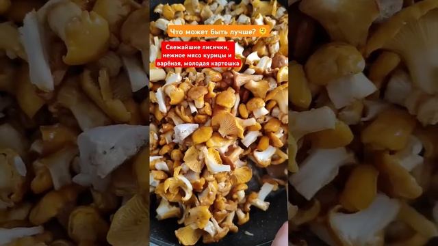 #грибы #грибник #грибники #грибы2024 #лисички #вкусно #готовимдома #готовимвместе #готовимвкусно смотреть онлайн